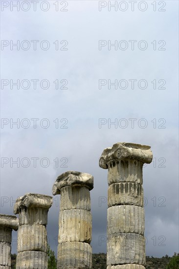 Lonic columns