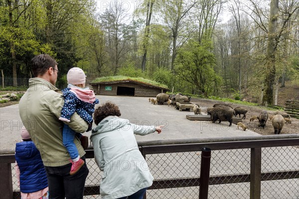 Wildpark im Grafenberger Wald