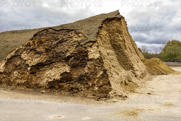 Biomass or silage converted to combustible gas in the biogas plant