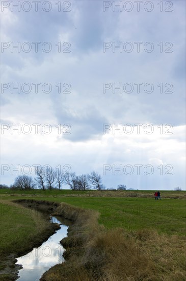 Puett in the dyke foreland near Fedderwardersiel