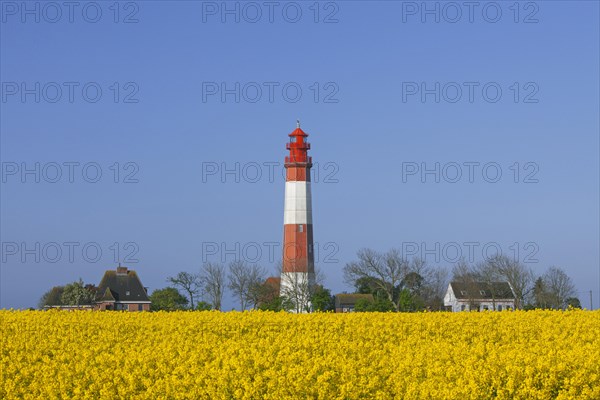 Lighthouse Fluegge