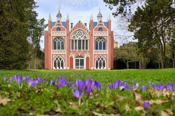 Crocus Meadow