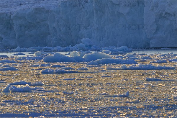 Ice floes calved from the Lilliehoeoekbreen glacier drifting in the Lilliehoeoekfjorden