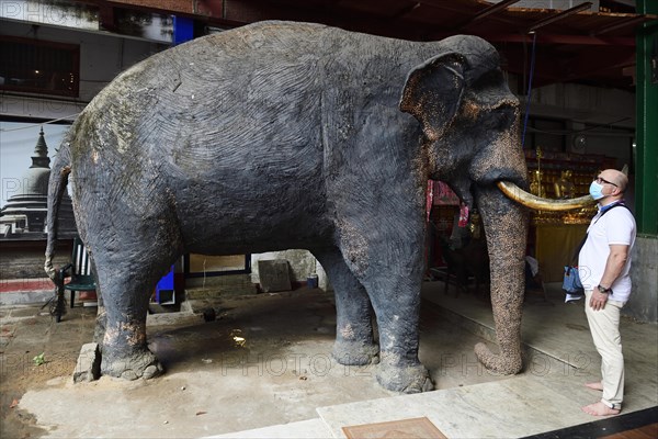 Tourist standing in front of imitation elephant