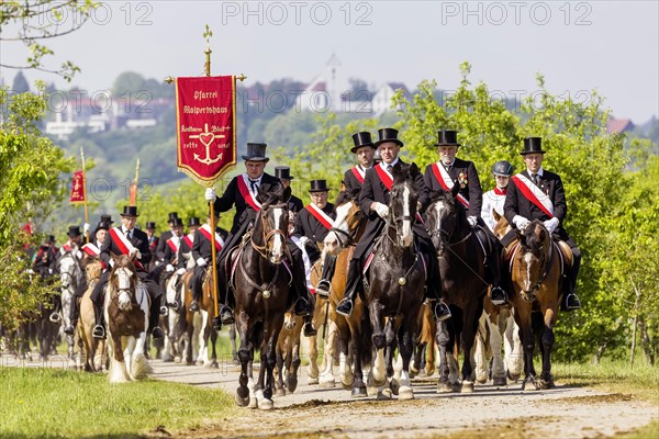 Traditional blood ride with 2200 riders and horses in honour of a blood relic