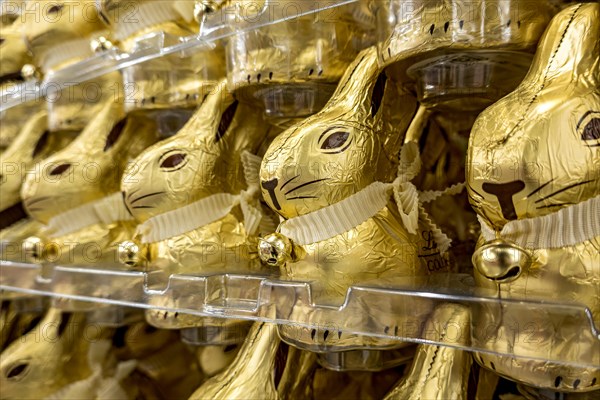 Many chocolate Easter bunnies