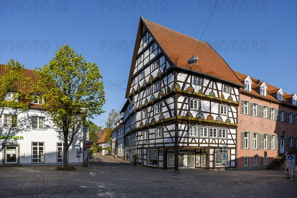 Haus zur Rose or Freiligrath House