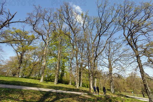 Suedlicher Schlossgarten Schwerin am Fauler See