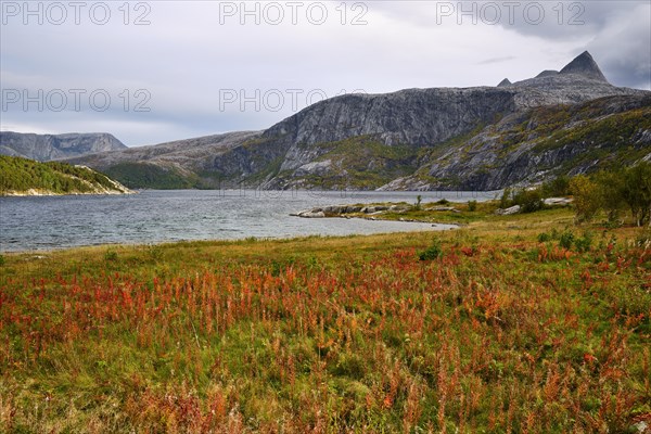 Saltfjorden in autumn