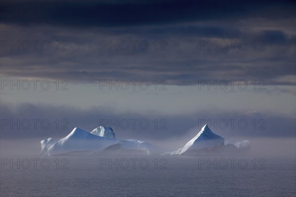 Icebergs in the mist