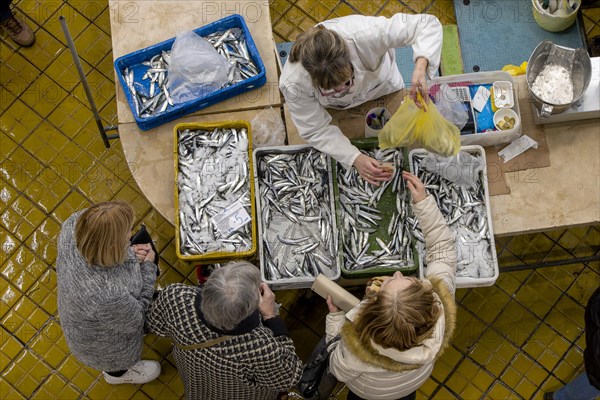 Birds eye colour photo of a stall full of sardines with the seller and a buyer