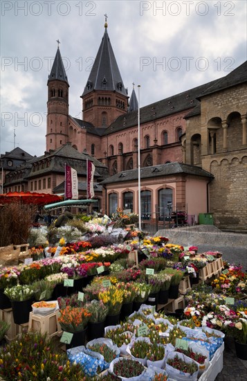 The High Cathedral of Mainz