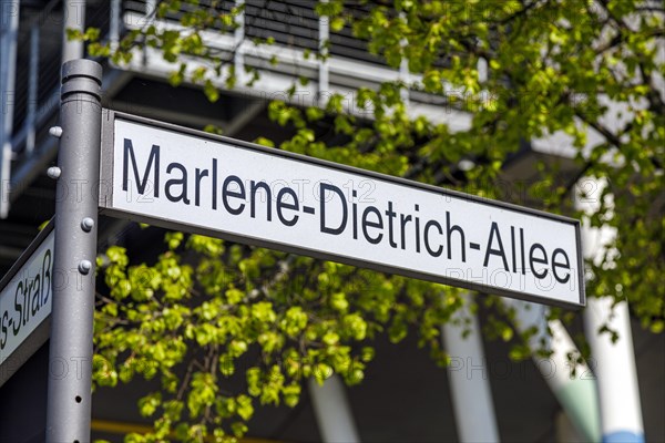 Film University Babelsberg KONRAD WOLF at Marlene-Dietrich-Allee