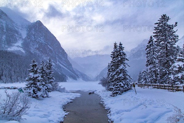 Stream in winter landscape at Chateau Lake Louise Hotel