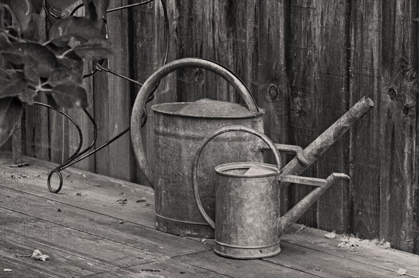 Two zinc watering cans