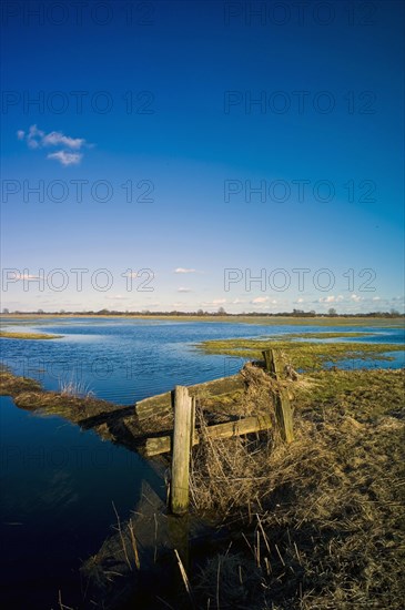 Flooded meadows in the Teufelsmoor near Worpswede