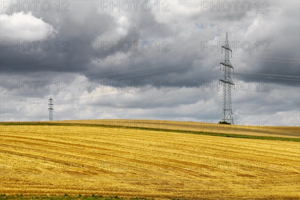 Harvested grain field