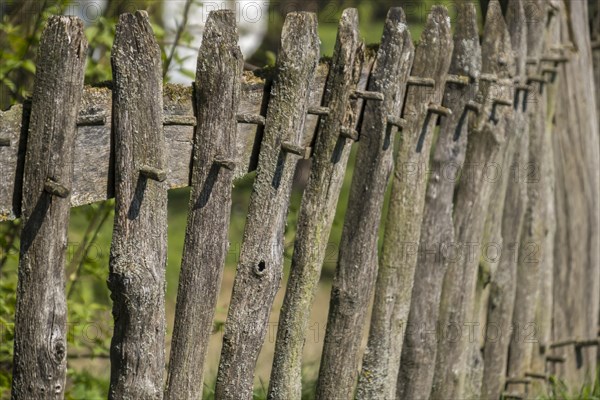 Traditionally made garden fence