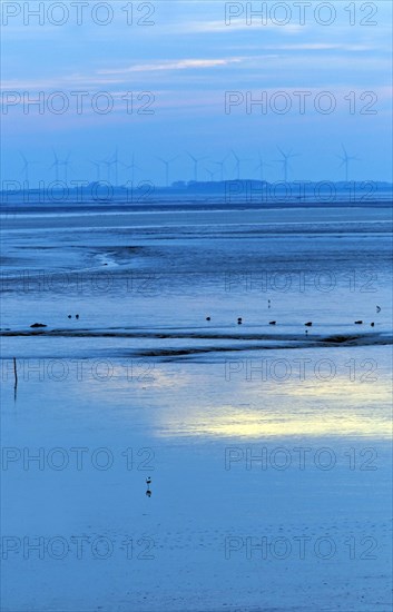 Evening light in the mudflats on the Dollart