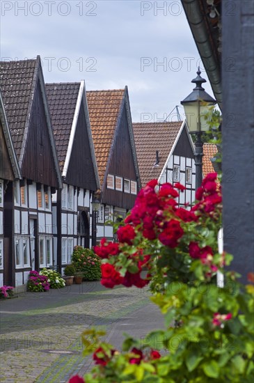 Half-timbered houses in the old town