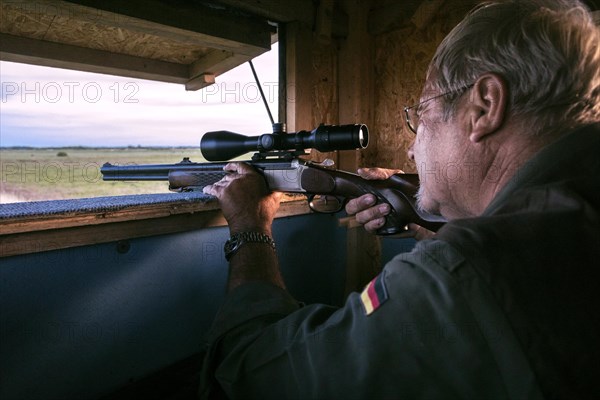 Hunter on a raised hide