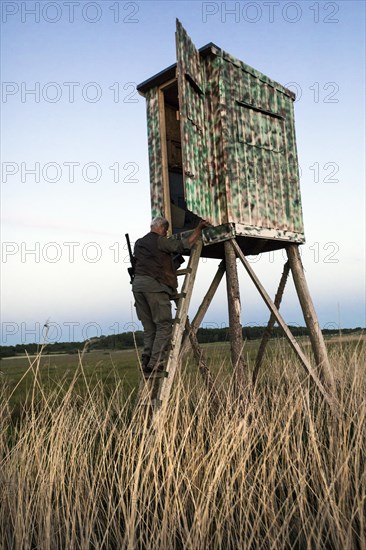 Hunter at a raised hide