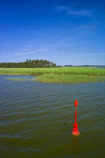 Saaler Bodden