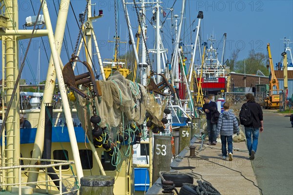 Shrimp cutter in the harbour of Buesum