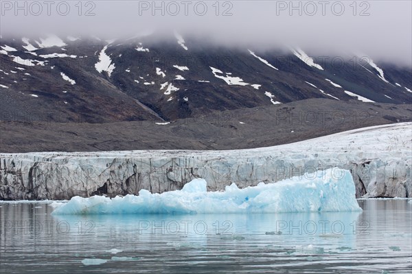 Ice floe in front of Monacobreen