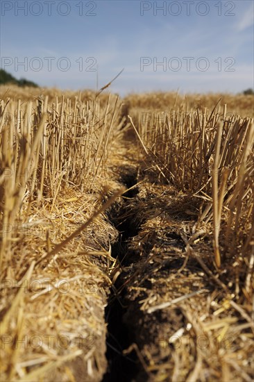 Broken soil on a threshed field