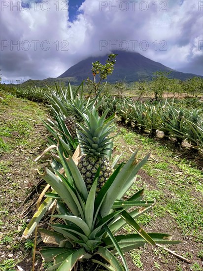 Arenal Volcano National Park