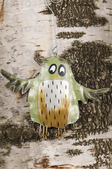 Owl sign on a birch bark