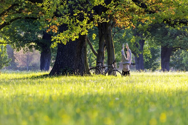 Yoga under old trees in Rosensteinpark