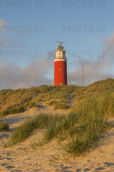 Eierland Lighthouse in the dunes on the northernmost tip of the Dutch island of Texel