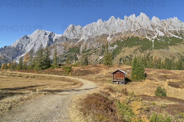 Autumnal alpine pasture in good weather