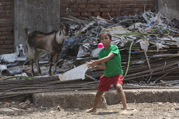 Cricket is a popular sport in India