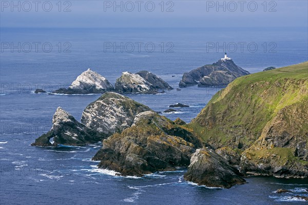 Gannetry on sea stacks and the Muckle Flugga lighthouse