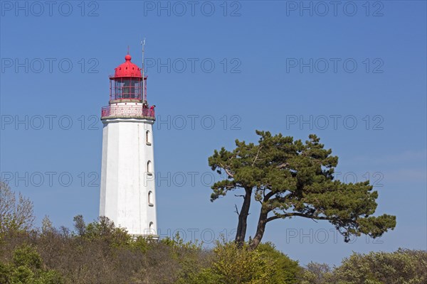 Dornbusch Lighthouse