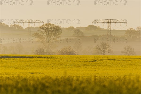 Electricity pylons looming in a landscape near Glasewitz