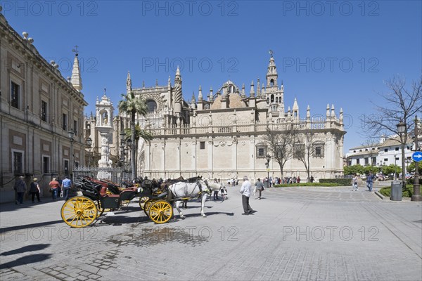 Seville Cathedral