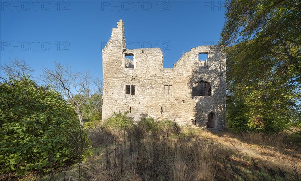 Ruin of the upper Sachsenburg