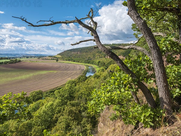 View into the Unstrut valley