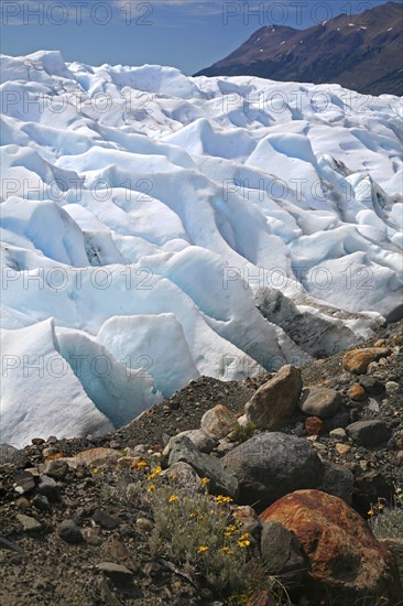 Perito Moreno glacier in the Los Glaciares National Park