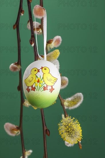 Willow Catkin with Easter Egg