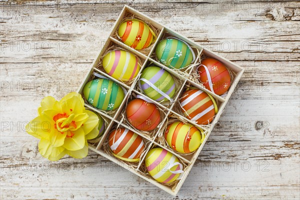 Coloured eggs in a box