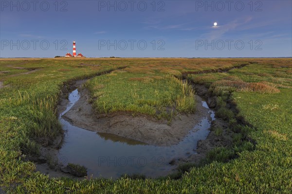 Saltmarsh and lighthouse Westerheversand at Westerhever