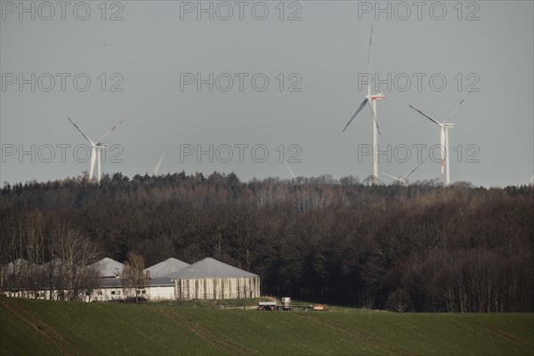 Biogas plant and wind turbines
