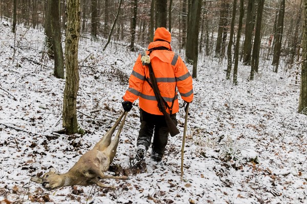 Driven hunt in Schoenbuch nature park Park