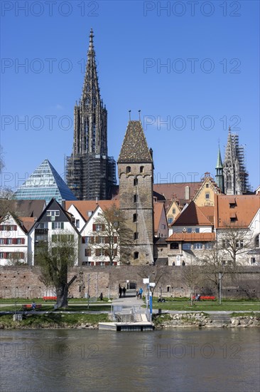 Danube and Danube promenade with Ulm city wall and Ulm Cathedral behind