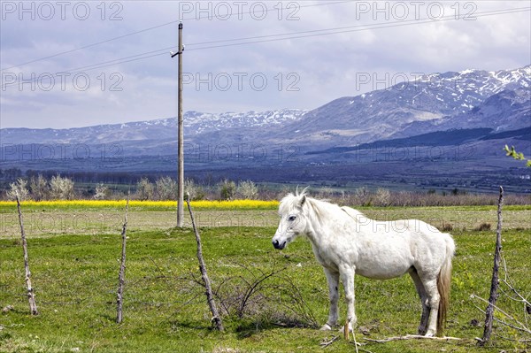 Plateau near Erseka in the southeast